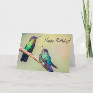 Cartão Casais de Beija-flor Conversando Feliz Aniversário