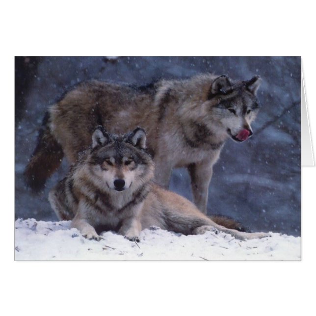 Cartão Casal (Frente Horizontal)