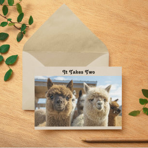 Cartão Casal de Alpacas de Cabelo Crespo Branco e Marrom 