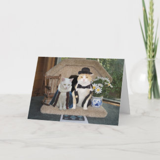 Cartão Casal de Aniversário do Aniversário de Gatos Engra