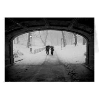 Cartão Casal na tempestade de neve, Central Park