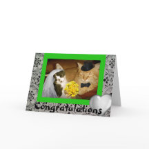 Casamento de Gatinho