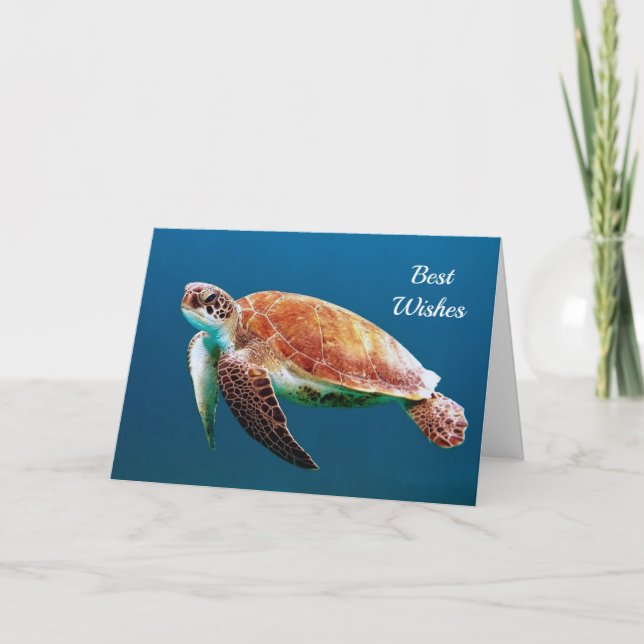 Cartão Casamento Fotográfico no Mar Azul Turtle (Frente)