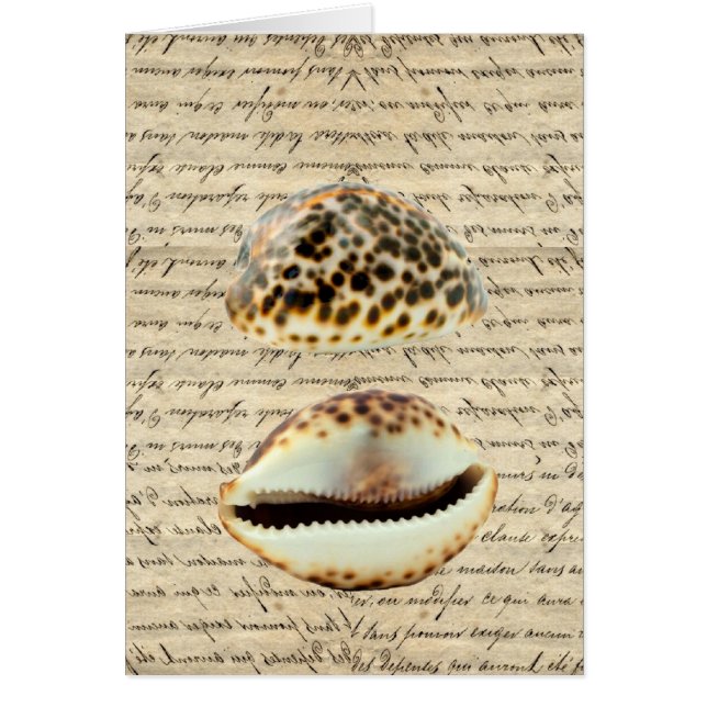 Cartão Cascas de Cowrie (Frente)