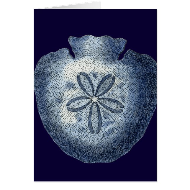 Cartão Cascas de Indigo III (Frente)