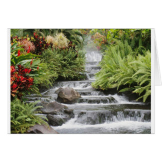 Cartão Cascata