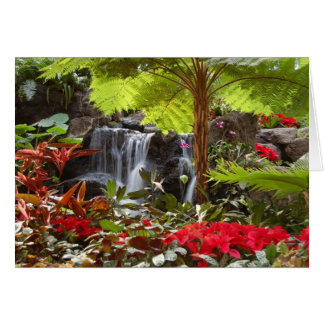Cartão Cascata