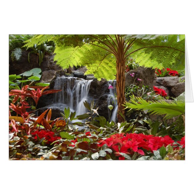 Cartão Cascata (Frente Horizontal)