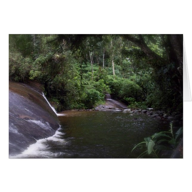 Cartão Cascata brasileira (Frente horizontal)
