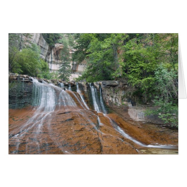 Cartão Cascata, Zion National Park, Utah, EUA (Frente Horizontal)