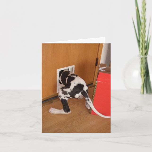Cartão Cash Trapped Harleguin Great Dane Puppy card (Frente)