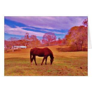 Cartão > Castanho em um campo de cor sonâmbulo