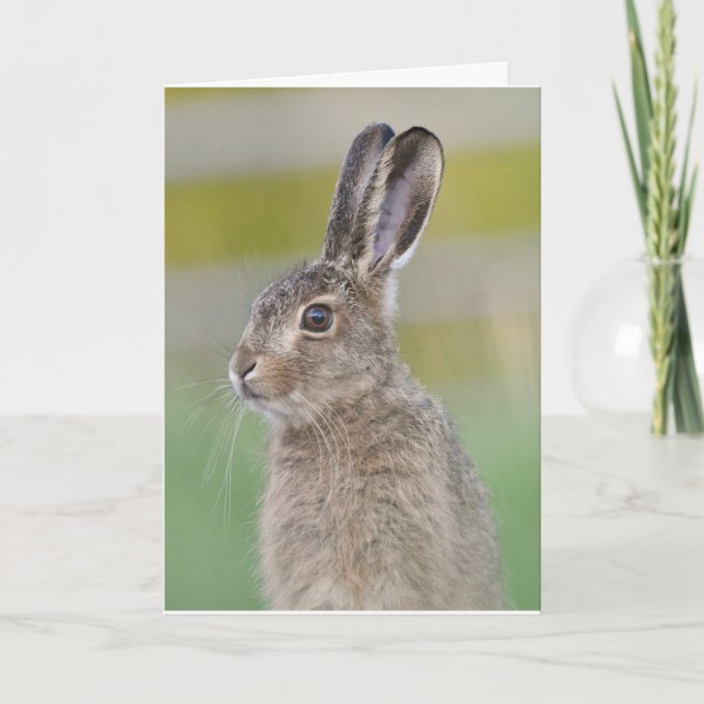 Cartão castanho-leveret scotland (Frente)