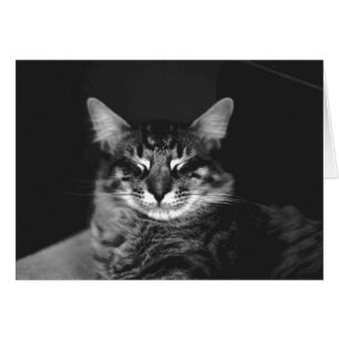 Cartão Cat. 3
