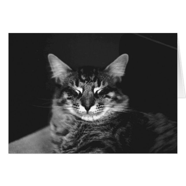 Cartão Cat. 3 (Frente Horizontal)