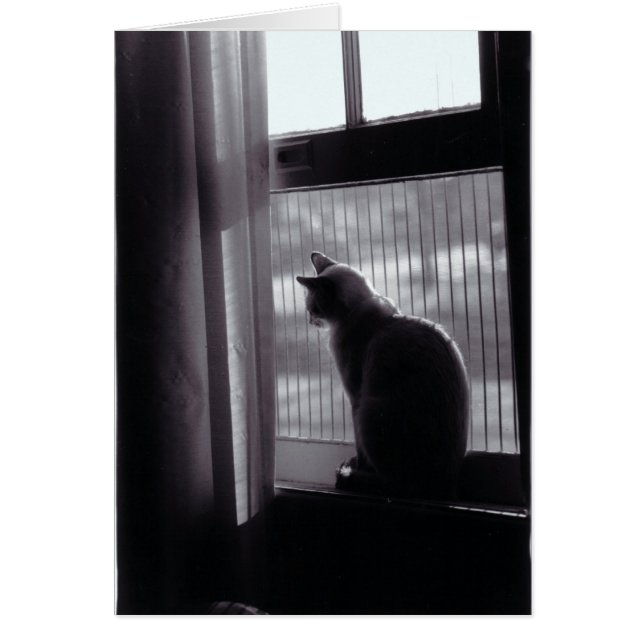 Cartão Cat. 4 (Frente)