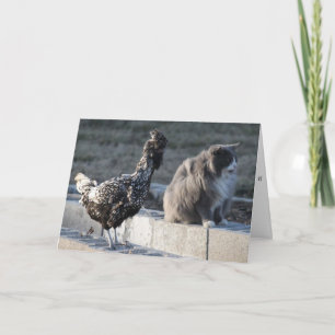 Cartão Cat and Chicken Greeting Card