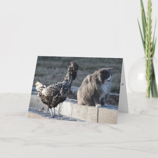 Cartão Cat and Chicken Greeting Card (Frente)