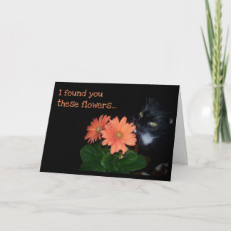 Cartão Cat Ate Your Birthday Flowers