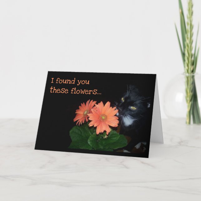 Cartão Cat Ate Your Birthday Flowers (Frente)