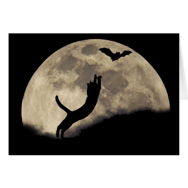 Cartão Cat Bat Moon (Frente Horizontal)