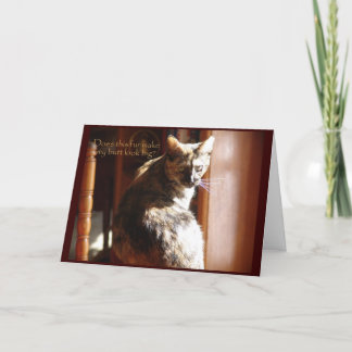 Cartão Cat Birthday Card