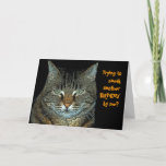 Cartão Cat birthday wishes<br><div class="desc">Black card with a cat asking "Trying to sneak another BIRTHDAY by me?"  Inside states "Right... No way      HAPPY BIRTHDAY"  - perfect to customize!</div>