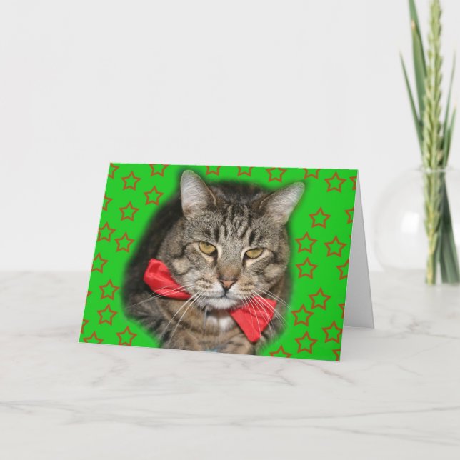 Cartão cat card (Frente)