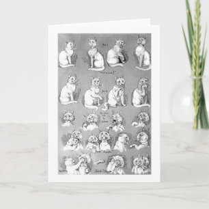 Cartão Cat, Casamento e coragem, noiva, Louis Wain