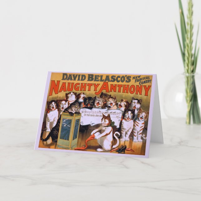 Cartão Cat Chorus! -Cartão (Frente)