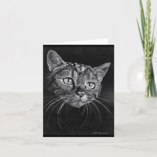 Cartão Cat Face blank card.
