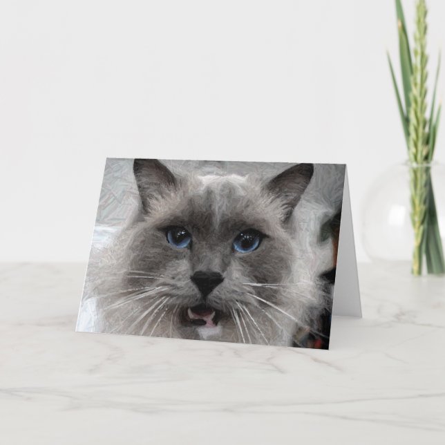 Cartão Cat greeting card (Frente)