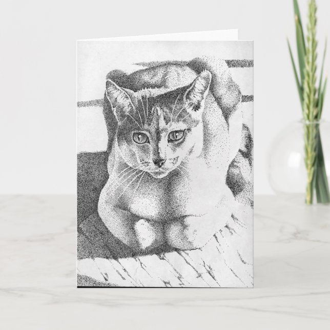 Cartão Cat Greeting Card (Frente)