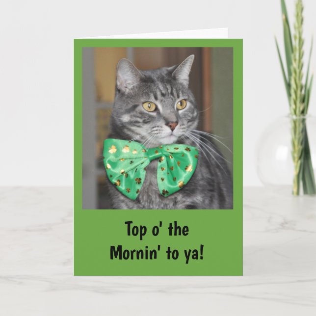 Cartão Cat in bowtie for St. Patrick's Day (Frente)