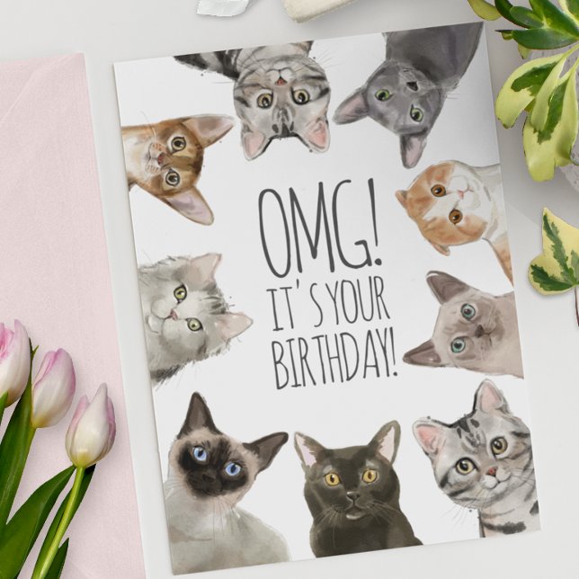 Cartão Cat Lady Birthday | OMG! É seu aniversário engraça (Criador carregado)