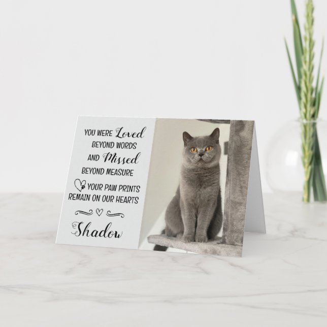Cartão Cat Loss Sympathy Card Personalized Photo Pet Name (Frente)