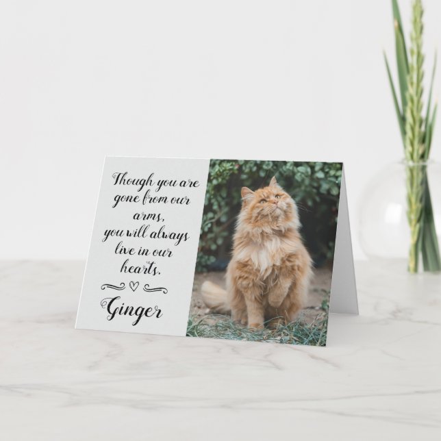 Cartão Cat Loss Sympathy Card Personalized Photo Pet Name (Frente)