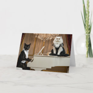 Cartão Cat Lounge Duo