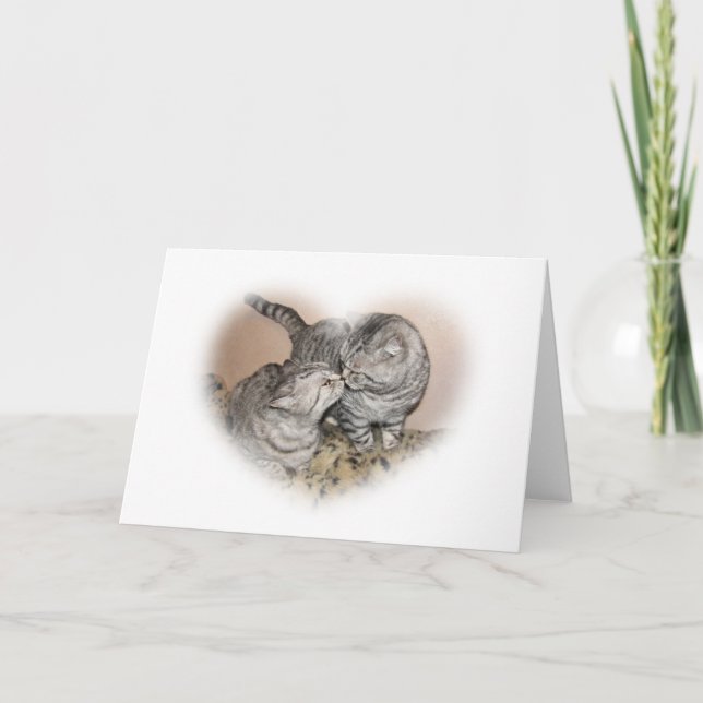 Cartão Cat love Greeting card (Frente)