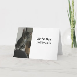 Cartão Cat Lover What's New Pussycat? Kitten