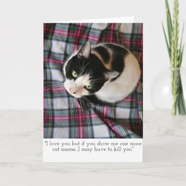 Cartão Cat Meme Greetings Card (Frente)