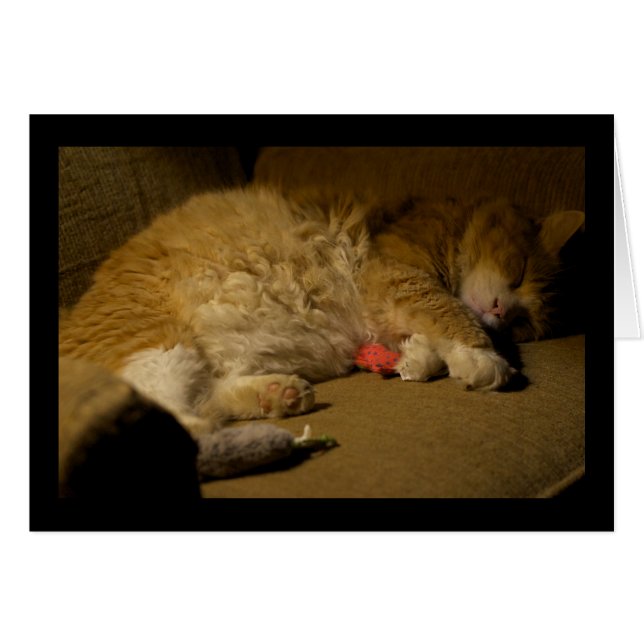 Cartão Cat Nap (Frente Horizontal)