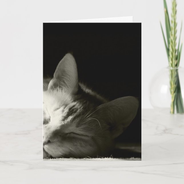 Cartão "Cat Nap" (Frente)