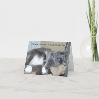 Cartão Cat Nap Card