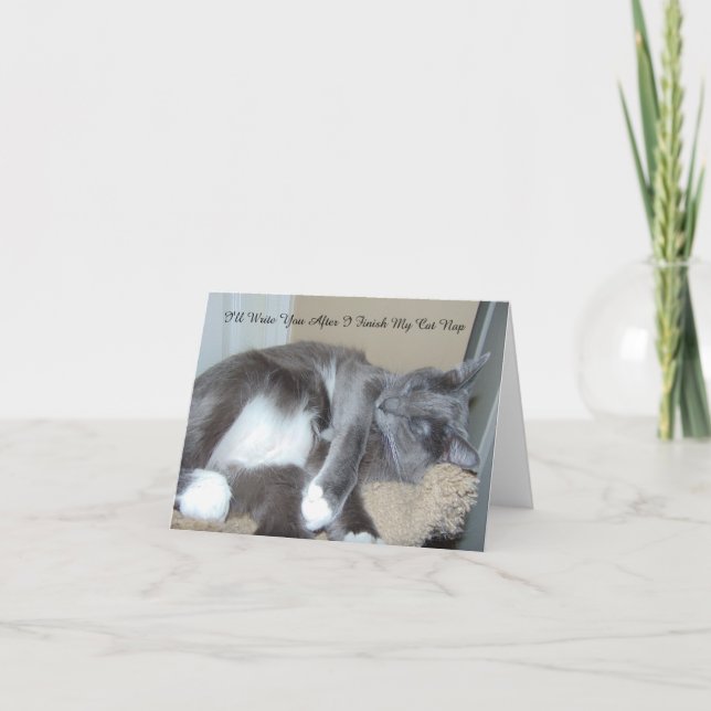 Cartão Cat Nap Card (Frente)