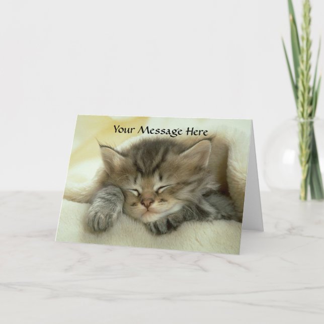 Cartão Cat Nap Greeting Card (Frente)