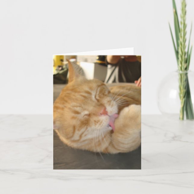 CARTÃO CAT NOTE CARD-BLANK (Frente)