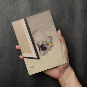 Cartão Cat Observando uma aranha   Oide Tōkō