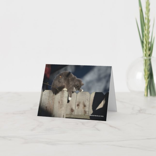 Cartão Cat on Fence (9) (Frente)