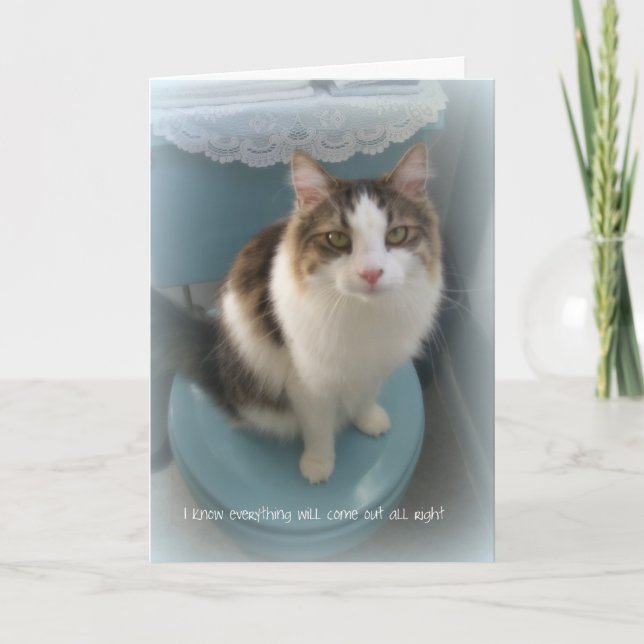 Cartão Cat on Toilet Support Greeting Card (Frente)